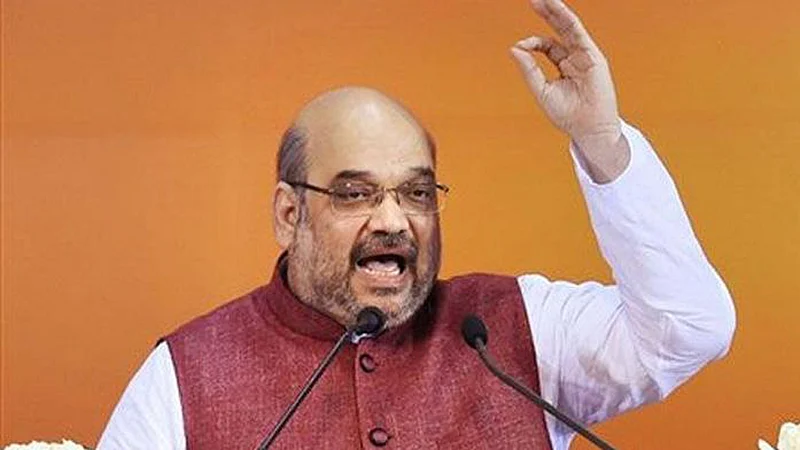 CAB : ईशान्येतील हिंसाचारावर अमित शहा यांनी केले भाष्य; म्हणाले...