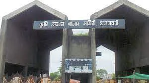 amravati apmc