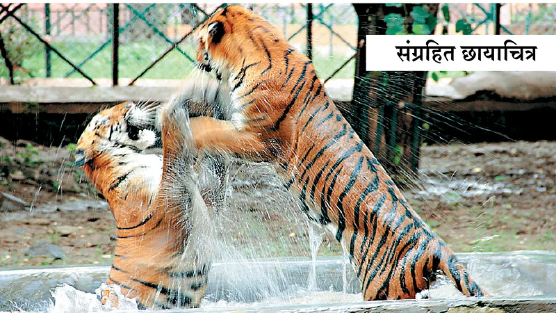 आता तरी सुधारणा होणार का?}