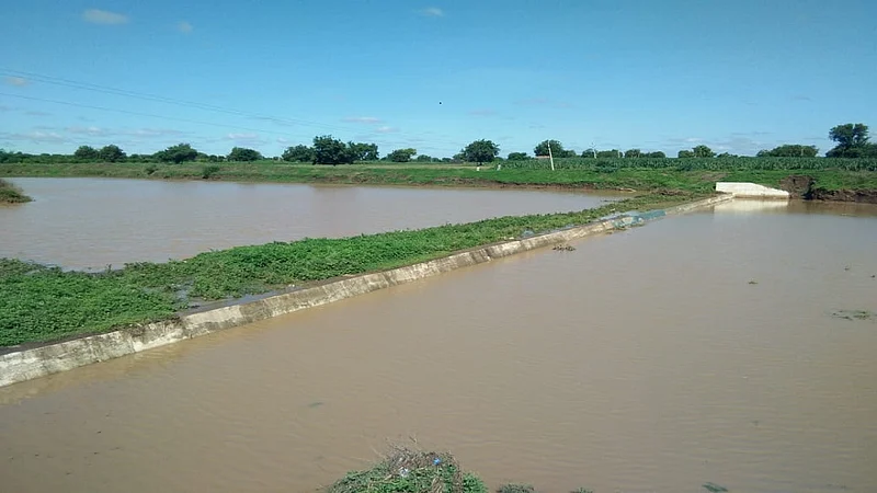 beed bandhara.jpg