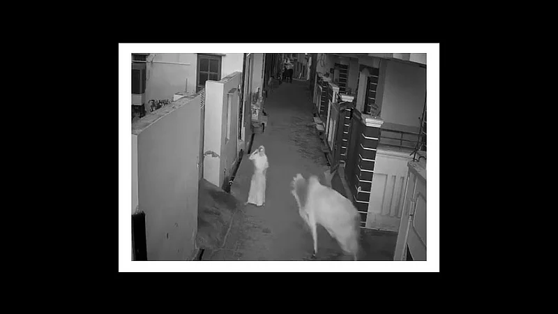viral video to save grandmothers life he fought with a stray bull