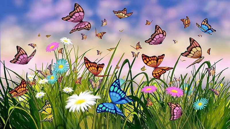 Now election held for Butterflies nature lovers will select National Butterfly