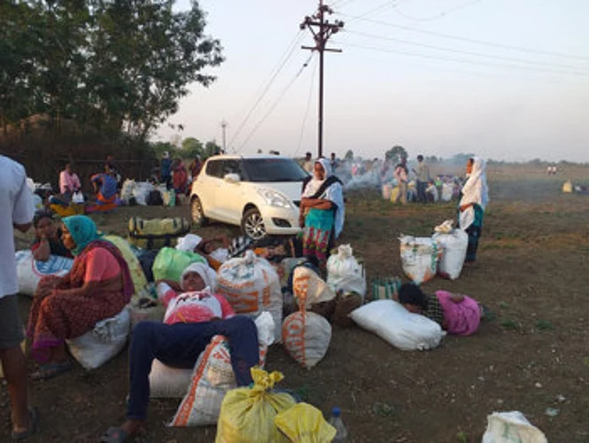 chandrapur