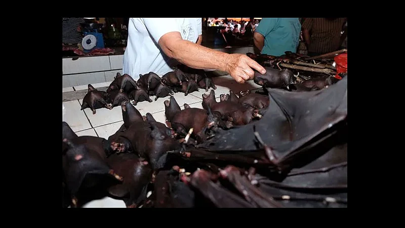 china celebrate victory and big crowds to buy dogs cats bat meat