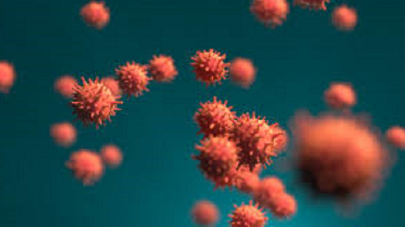 Sari virus patients doubled in seven days 116 injured 13 deaths clear in ratnagiri from report