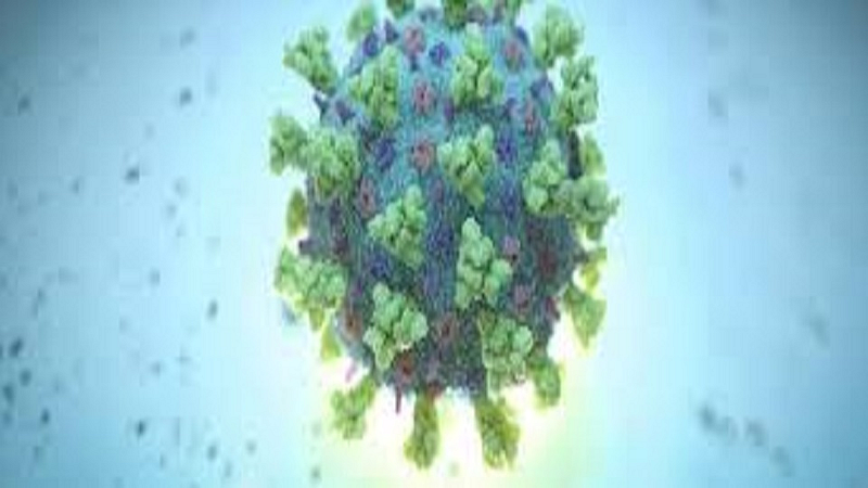 sindhudurg zp office coronavirus infected one clerk and two sepoys from the education department in the Zilla Parishad