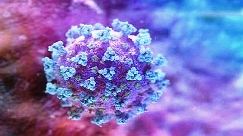 मुंबईत अंशतः लॉकडाऊन लागण्याची शक्यता, आजचा मुंबईचा कोरोना रिपोर्ट वाचा}