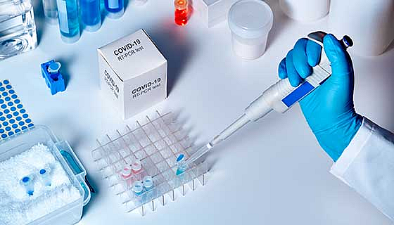 coronavirus update