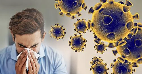 coronavirus-graphic-web-feature.jpg