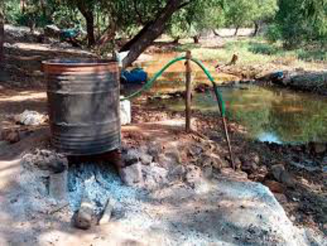Gavthi daru adde