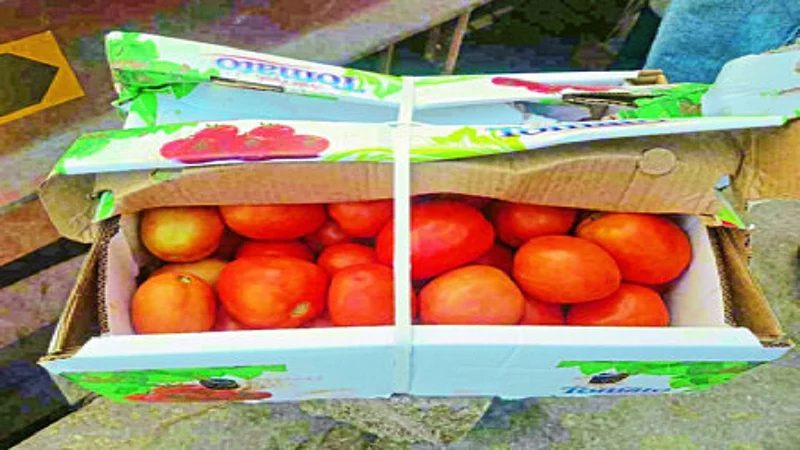 dubai tomato.jpg