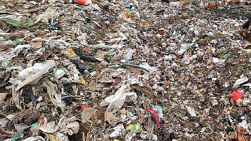 Garbage is dumped in Nagpur in Nevasa taluka