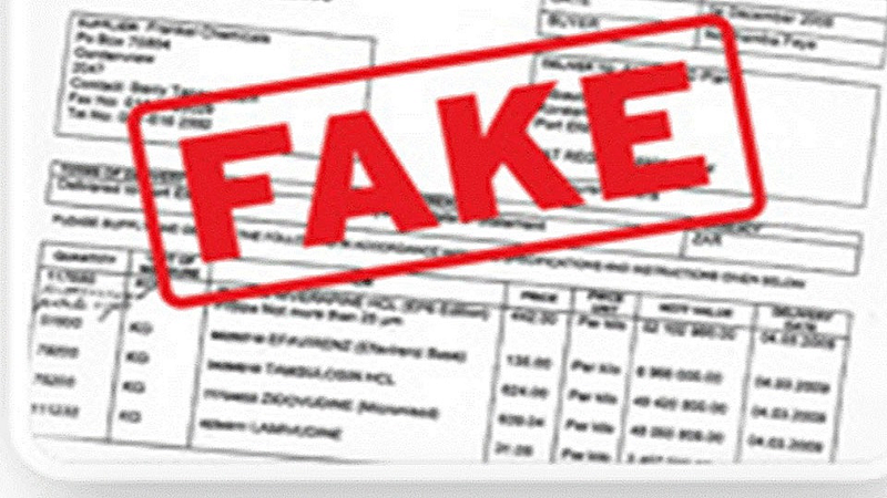 Fake Documents
