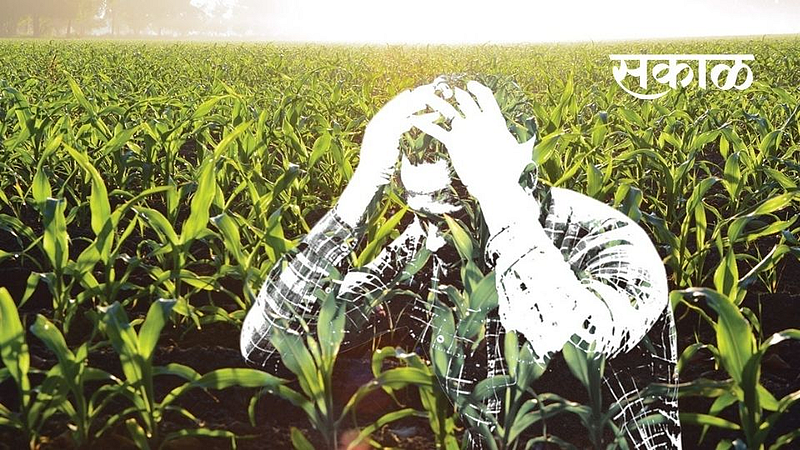 अवकाळी पावसाने शेतकऱ्यांना रडवले