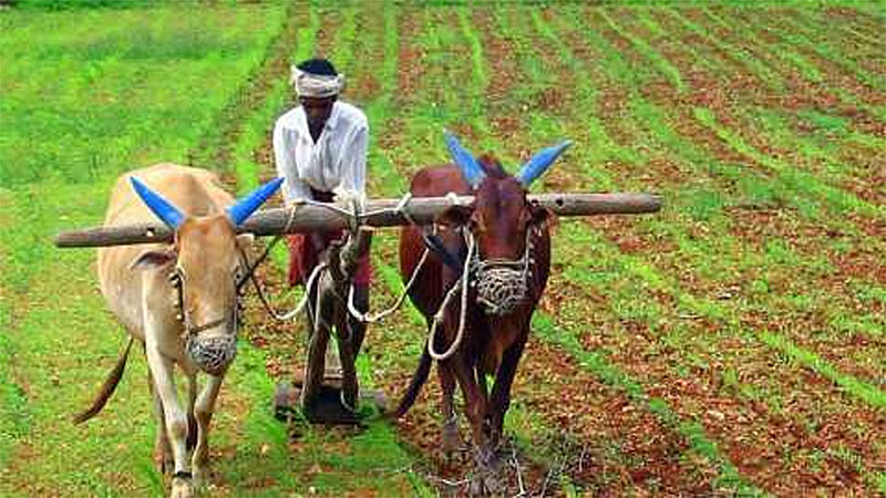 agriculture post pending recruitment in ratnagiri kokan marathi news