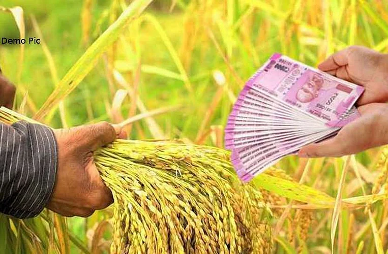Akola Marathi News- Farmers will get Rs 25 crore for excess rainfall! Funds credited to Tehsildar's account