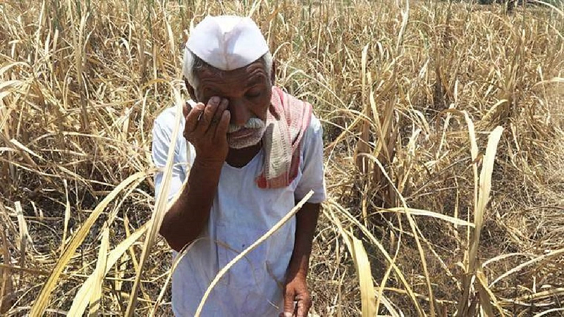 many farmers in yavatmal district did not get their loans back from banks