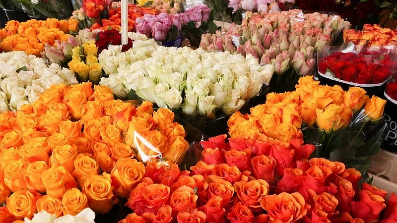 flower.