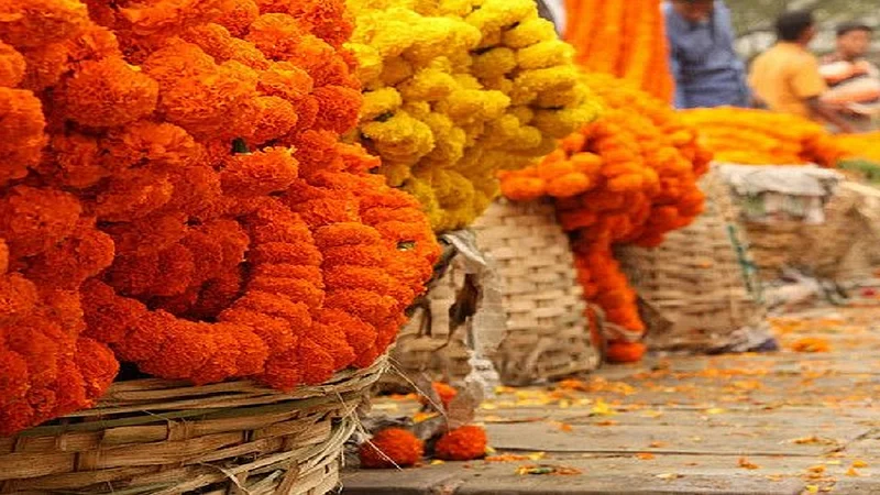 tinkle flower market increased in today's rates are increased in ratnagiri