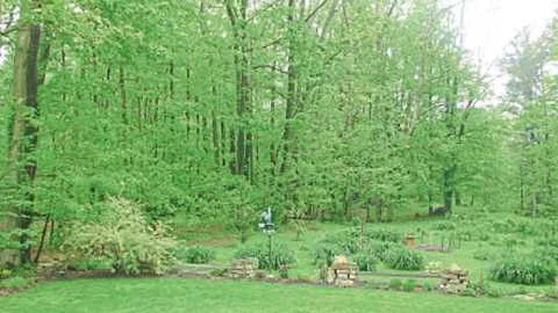 garden.jpg