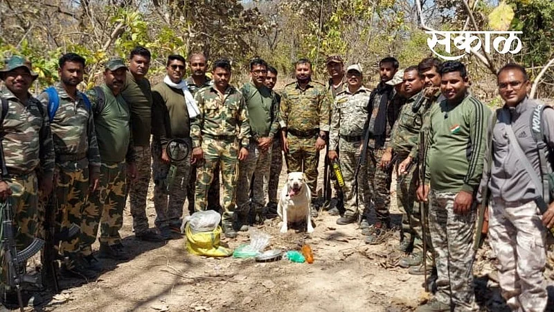 Explosives seized from Soyagatoli forest in Gondia}