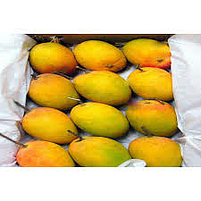 The Karnataka government will provide the mango house in collaboration with India Post