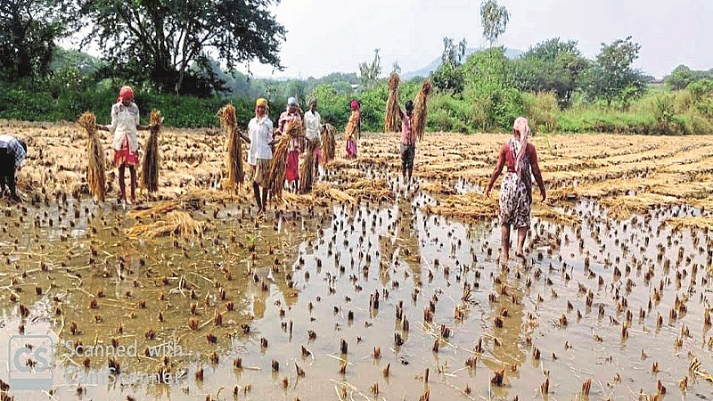 igatpuri12.jpg
