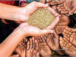 retion card rice and wheat