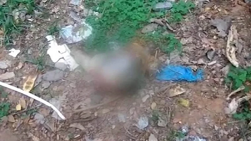 प्रशासनाच्या नाकर्तेपणामुळे अर्धवट जळालेले मृतदेह बेवारस कुत्रे गावात आणत आहेत. त्यांचे लचके तोडत आहेत. त्यामुळे भिलेवाडा या गावात दुर्गंधी पसरली आहे.