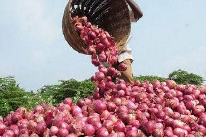 Onion prices in Maharashtra fell due to Bihar elections