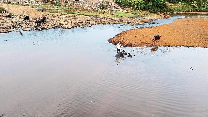 Released Water Into The Tamraparni River Kolhapur Marathi News