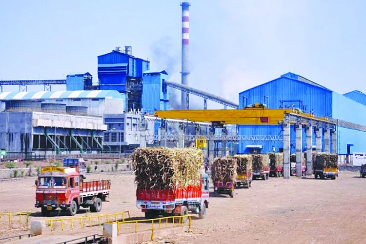 kumuda-Sugars-Limited - Copy.jpg