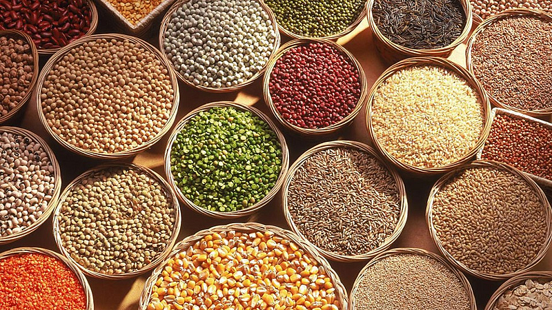 Pulses News