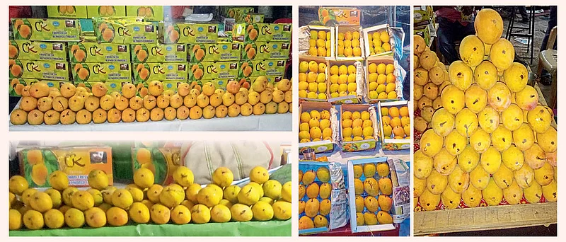 Mango sweet ‘rhythmic’ under the corona sawta, crowd of customers rushing to buy washim akola marathi news