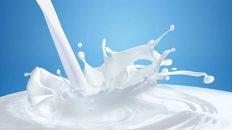 mother dairy