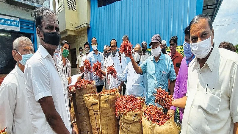Gadhinglaj Starts Pepper Deals Kolhapur Marathi News