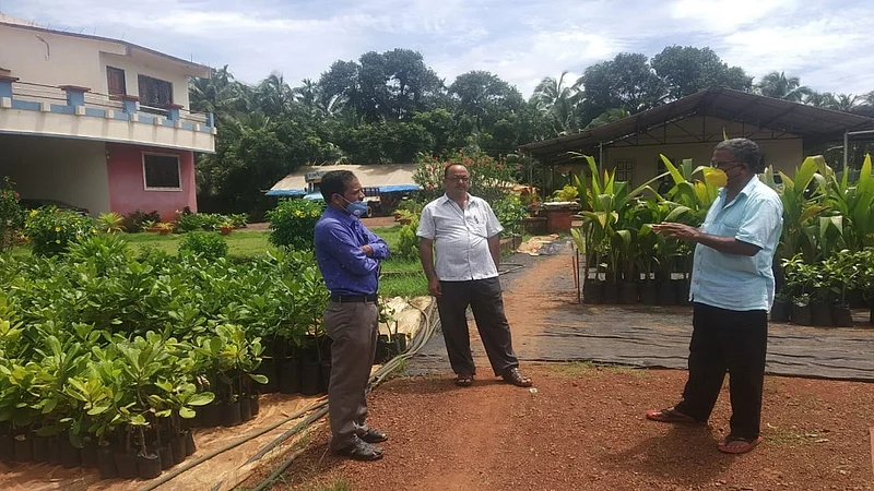 mavlangela village in ratnagiri famous for a nursery village in kokan