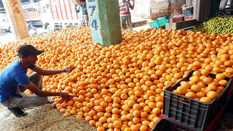 पंजाबचा किन्नू मुंबईकरांना भावतोय!