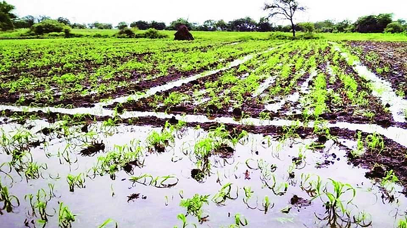 Marathwada
