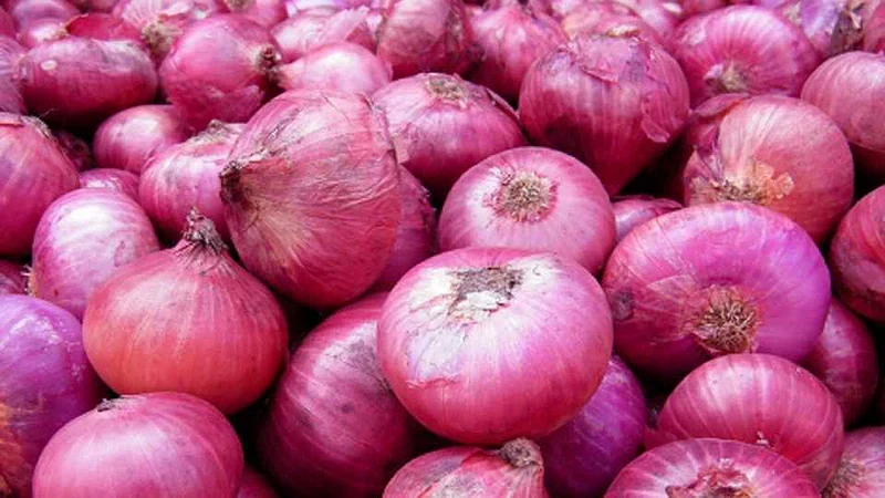 Most onion sales in Solapur