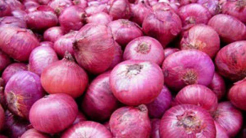 सोलापूर बाजार समितीत आज कांद्याचा भाव गेला पाच हजारपार