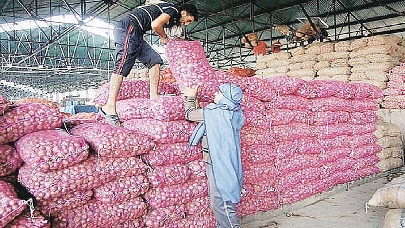onion export 1.jpg