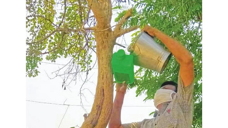 The concept of a water pot for birds Nagpur rural news