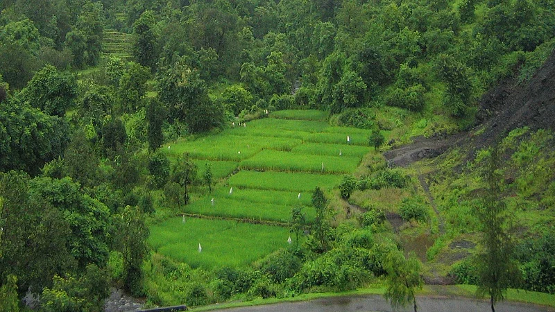3000 millimeter rain register in ratnagiri