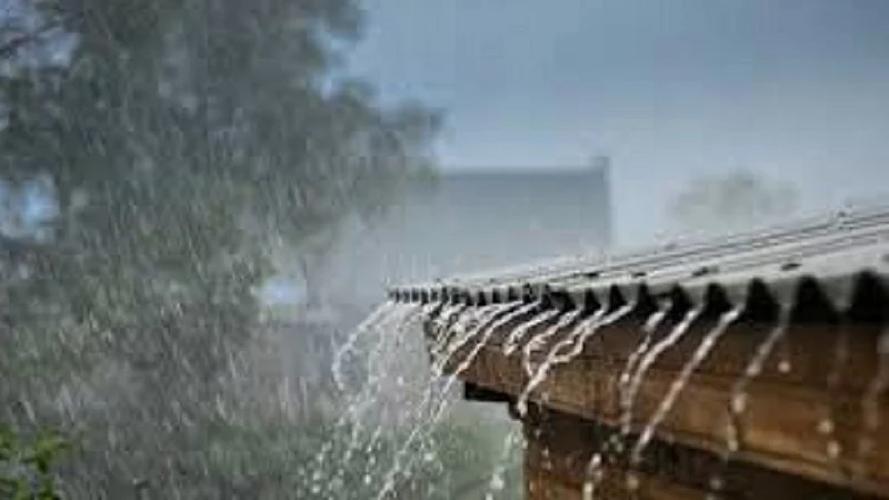 Meteorological Department Forecast torrential rains with thunderstorms on September 3 and 4.
