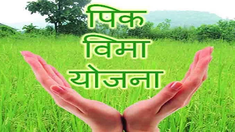 1900 farmers deprived from crop insurance policy in chiplun ratnagiri