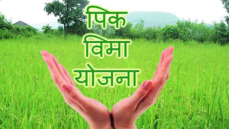 crop insurance