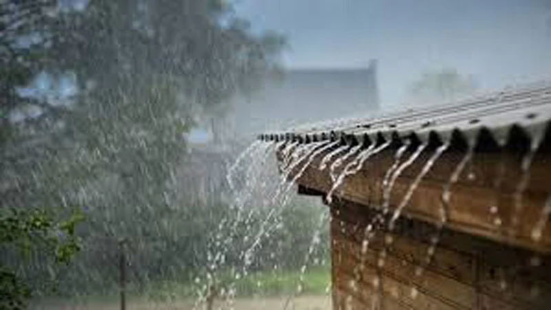 rain