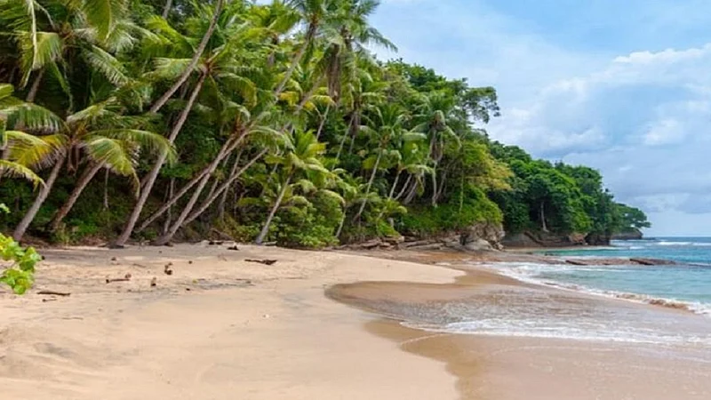 to increse a tourisma in kokan govermant allowed on beach shacks on 8 beach in through maharashtra