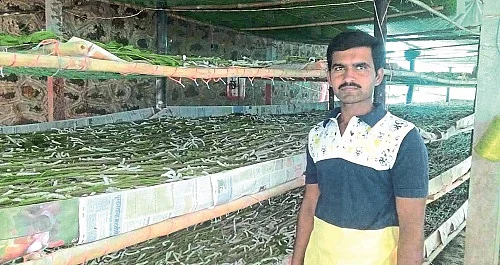 Silk industry in crisis due to corona lockdown